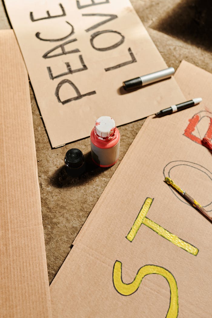 pexels photo 8689428.jpeg